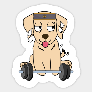 Funny retriever is exercising Sticker